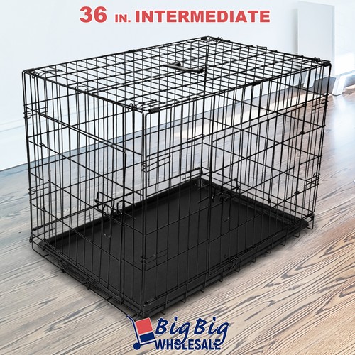 Intermediate portable - 36",